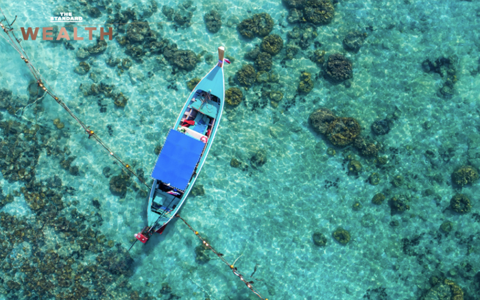 เจาะลึก 