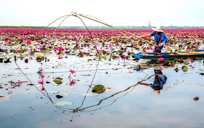 นักท่องเที่ยวสํารวจทิวทัศน์ริมแม่น้ําและค้นพบดงทับที่แตกต่างออกไป